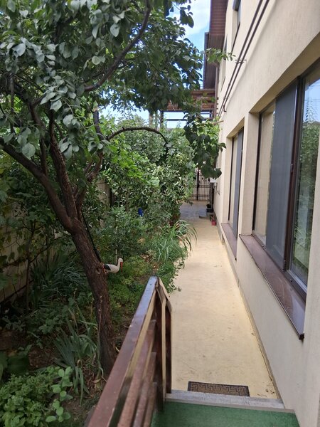 Colentina, str. Mihai Spatarul, sector 2.
